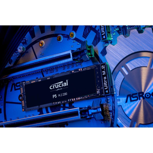 SSD Interne Crucial CT250P5SSD8