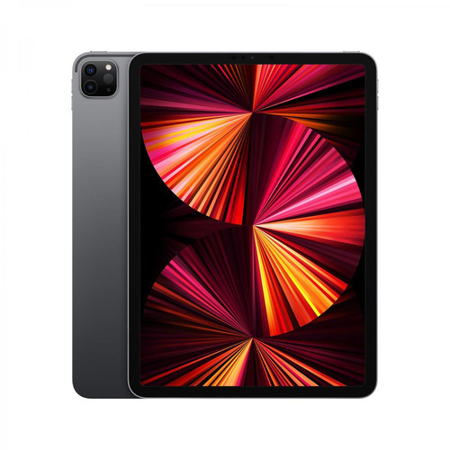 Apple - iPad Pro 11" (2021) Wi‑Fi + Cellular 256Go - Gris Sidéral Apple  - iPad Pro iPad