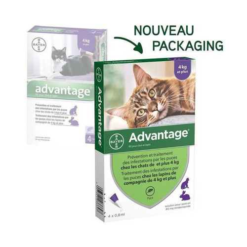 Anti-parasitaire pour chat Advantage ADVANTAGE 80 - 6 pipettes antiparasitaires - Pour chat et lapin de 4kg et plus