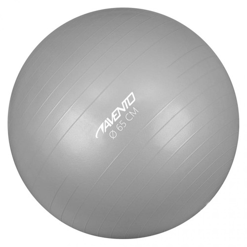 Avento - Avento Ballon de fitness/d'exercice Diamètre 65 cm Argenté Avento  - Avento