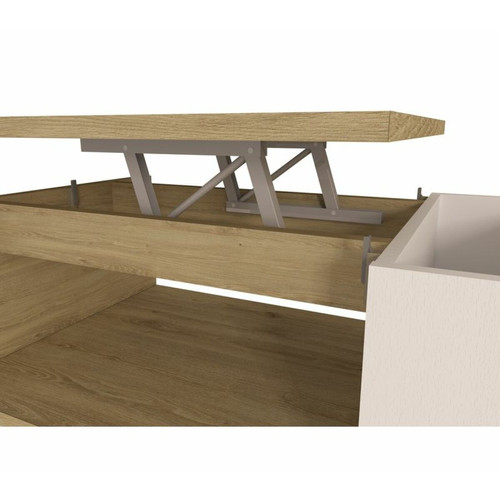 Tables basses Table basse plateau relevable avec coffre DESPACITO Imitation chêne et Blanc