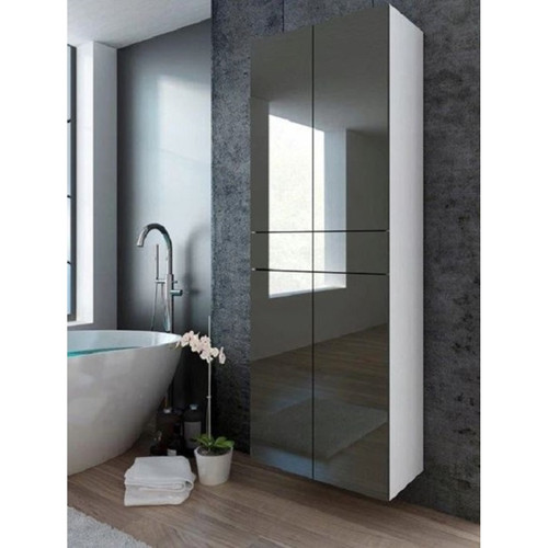 Dusine - Colonne Pureza 60 cm - Gris Laqué/BM salle de bain suspendue ou posée Dusine  - Colonne de salle de bain Design