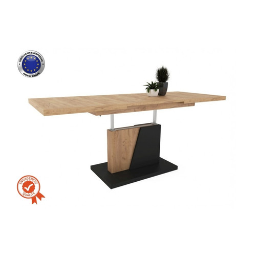 Dusine - TABLE BASSE CHOPIN RELEVABLE ET EXTENSIBLE BOIS Dusine  - Table basse relevable en bois Tables basses