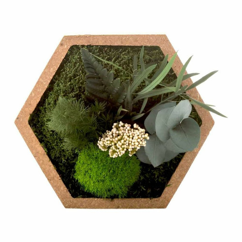 Flowerbox - Tableau végétal stabilisé nature Hexagonale. Flowerbox  - Flowerbox