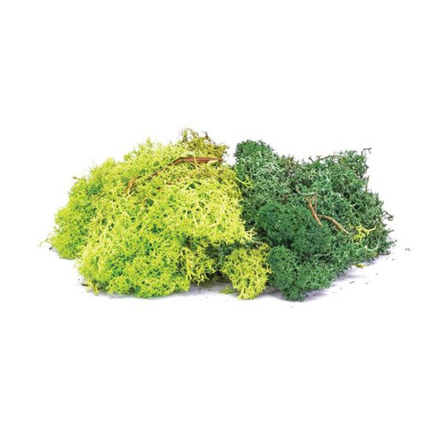 Humbrol - Skale Scenics Lichen - Green Mix - Humbrol Humbrol  - Humbrol