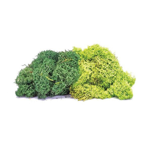 Humbrol - Skale Scenics Lichen - Large Green Mix - Humbrol Humbrol  - Humbrol