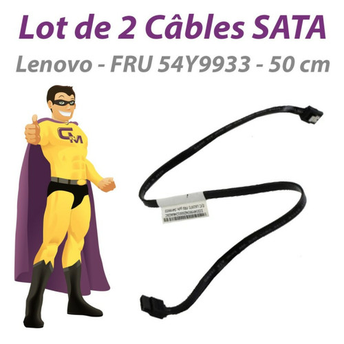 Lenovo - Lot 2 Câble SATA Lenovo FRU 54Y9933 ThinkStation S30 50cm Noirs Lenovo  - Câble et Connectique Lenovo