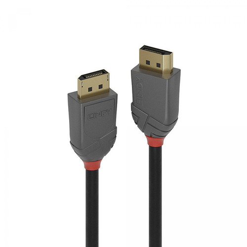 Lindy - Câble DisplayPort 1.4, Anthra Line, 1m Lindy  - Bonnes affaires Câble et Connectique