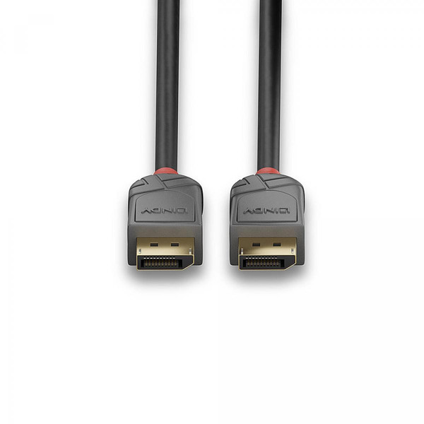 Câble antenne Câble DisplayPort 1.4, Anthra Line, 1m
