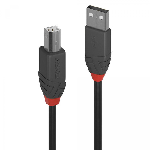 Lindy - Lindy 36677 USB cable Lindy  - Bonnes affaires Câble et Connectique