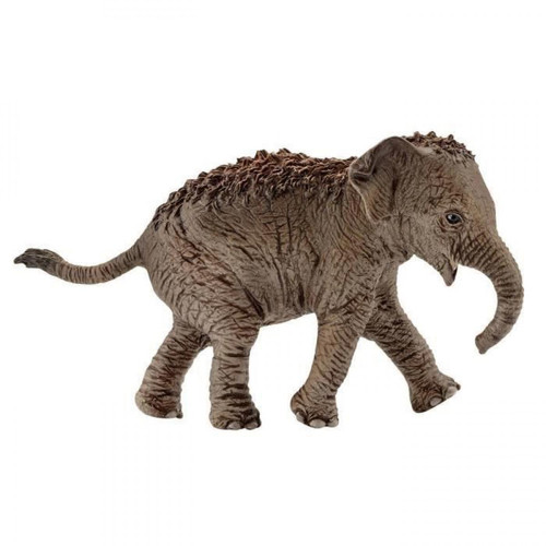 Schleich - Schleich Figurine 14755 - Animal de la savane - Elephanteau dAsie Schleich  - Schleich