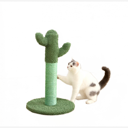Universal - Cactus, chat, griffe, corde de sisal, chariot d'escalade, cadre d'escalade pour chatons et chats adultes, cadre d'élevage, accessoires pour animaux de compagnie | Universal  - Jouet pour chien
