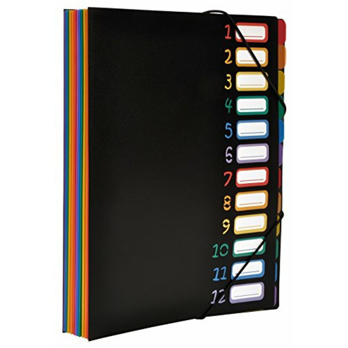 Accessoires Bureau Viquel Rainbow Class - Trieur accordéon 12 compartiments en plastique - Pochette extensible pour classer et transporter des documents - Rangement papier format A4