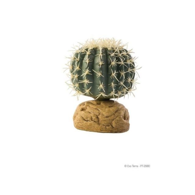 Exoterra - Décoration Cactus Oursin - PT2980 Exoterra  - Exoterra