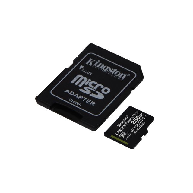 Carte Micro SD Kingston SDCS2/256GB