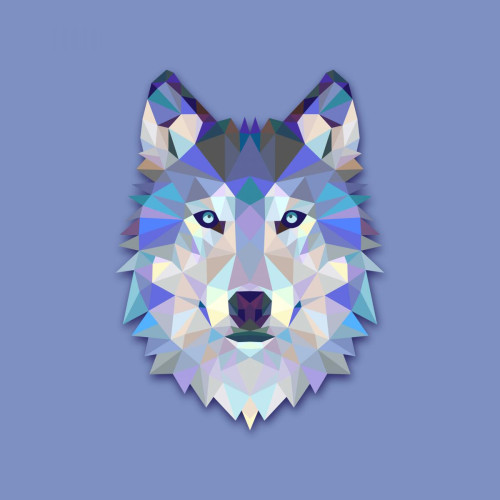 DECLIKTABLEAU - Tableau Animal Design Blue Wolf 60x60 - Décoration Bleu