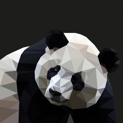DECLIKTABLEAU - Tableau Pattern Panda 80x80 DECLIKTABLEAU  - Tableau paysage Tableaux, peintures