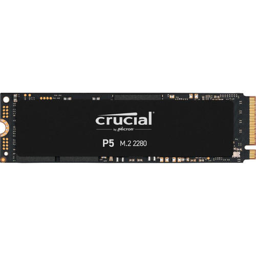SSD Interne Crucial CT1000P5SSD8