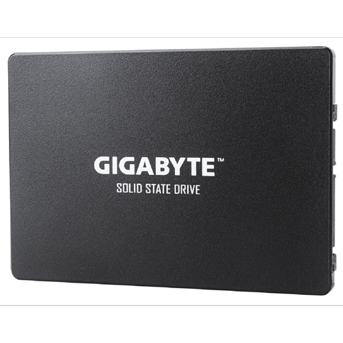 SSD Interne Gigabyte GP-GSTFS31100TNTD
