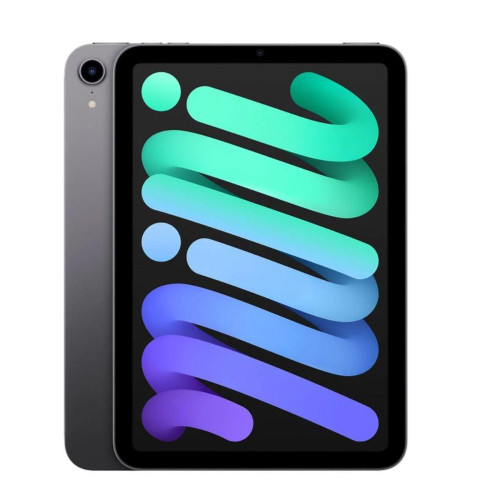 Apple - iPad mini Wi-Fi - 256GO - Gris sidéral (6ème génération 2021) - Tablette tactile