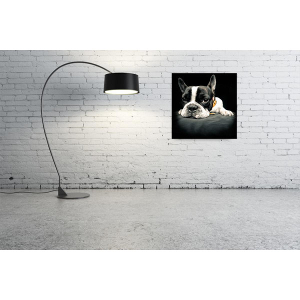Tableaux, peintures DECLIKTABLEAU  Chien bulldog relax 50x50 cm