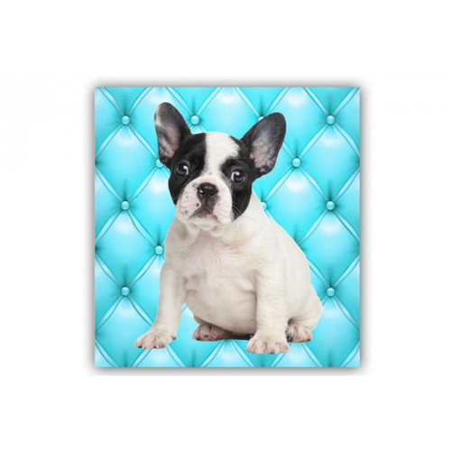 DECLIKTABLEAU - Tableau Animaux Chien Bulldog Fond Bleu Turquoise Capitonné 50X50 cm - Décoration Blanc