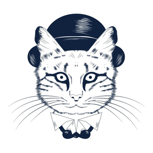 DECLIKTABLEAU - Tableau Animal Chat Avec Chapeau 50X50 - Décoration Blanc