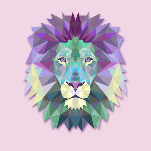 DECLIKTABLEAU - Tableau Animaux Lion Rose 50X50 - Décoration Violet