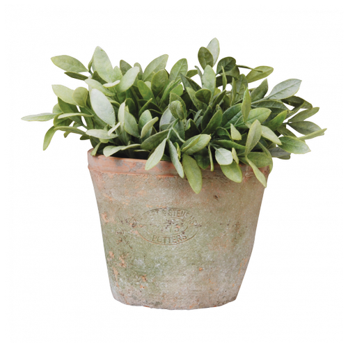 Ac-Deco - Pot pour plantes en terre cuite - D 16,3 cm x H 12 cm Ac-Deco  - Bac fleurs oranger