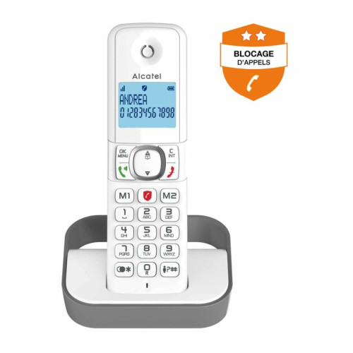 Alcatel - Téléphone sans fil ALCATEL F 860 Solo Gris Alcatel  - Téléphone fixe-répondeur