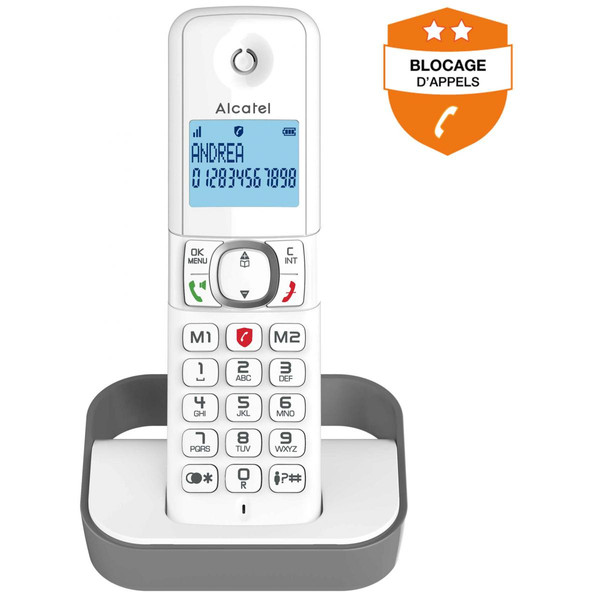 Téléphone fixe-répondeur Alcatel Téléphone sans fil ALCATEL F 860 Solo Gris