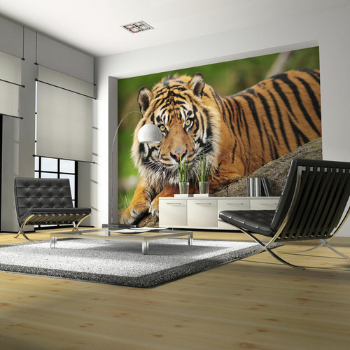 Artgeist - Papier peint - Tigre de Sumatra [250x193] Artgeist  - Revêtement sol & mur