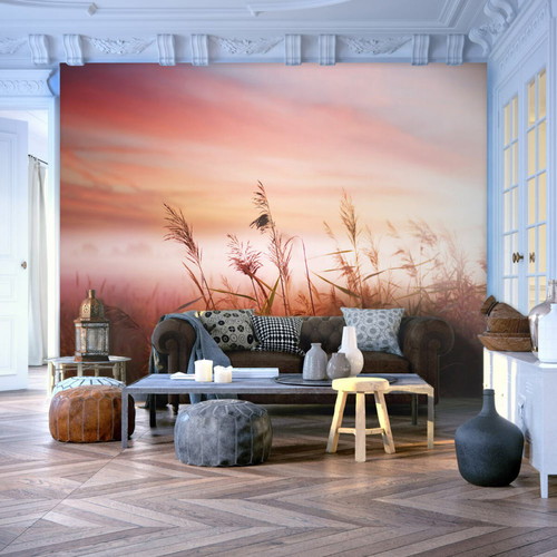 Artgeist - Papier peint - Prairie à l'aube [343x270] Artgeist  - Revêtement mural intérieur