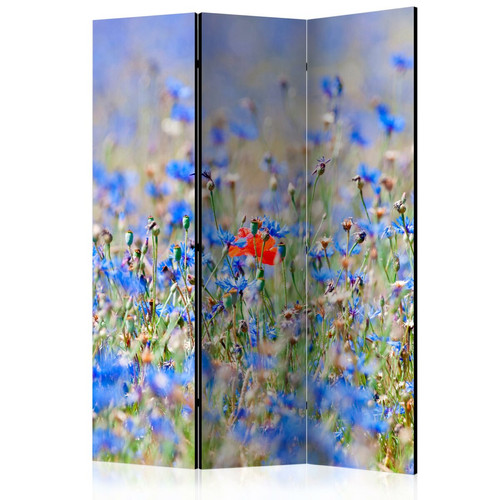 Artgeist - Paravent - A sky-colored meadow - cornflowers [Room Dividers] [135x172] Artgeist  - Paravents