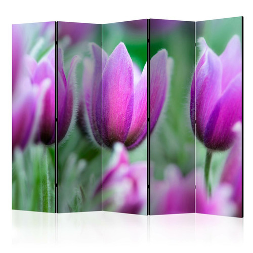 Artgeist - Paravent - Purple spring tulips II [Room Dividers] [225x172] Artgeist  - Paravents