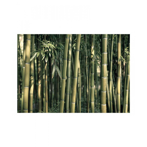 Artgeist - Papier peint - Bamboo Exotic [350x245] Artgeist  - Artgeist