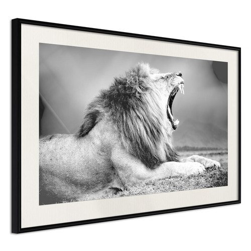 Artgeist - Poster et affiche - Yawning Lion 45x30 cm Artgeist  - Artgeist