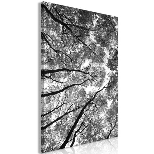 Artgeist - Tableau - High Trees (1 Part) Vertical 40x60 cm Artgeist  - Tableaux, peintures