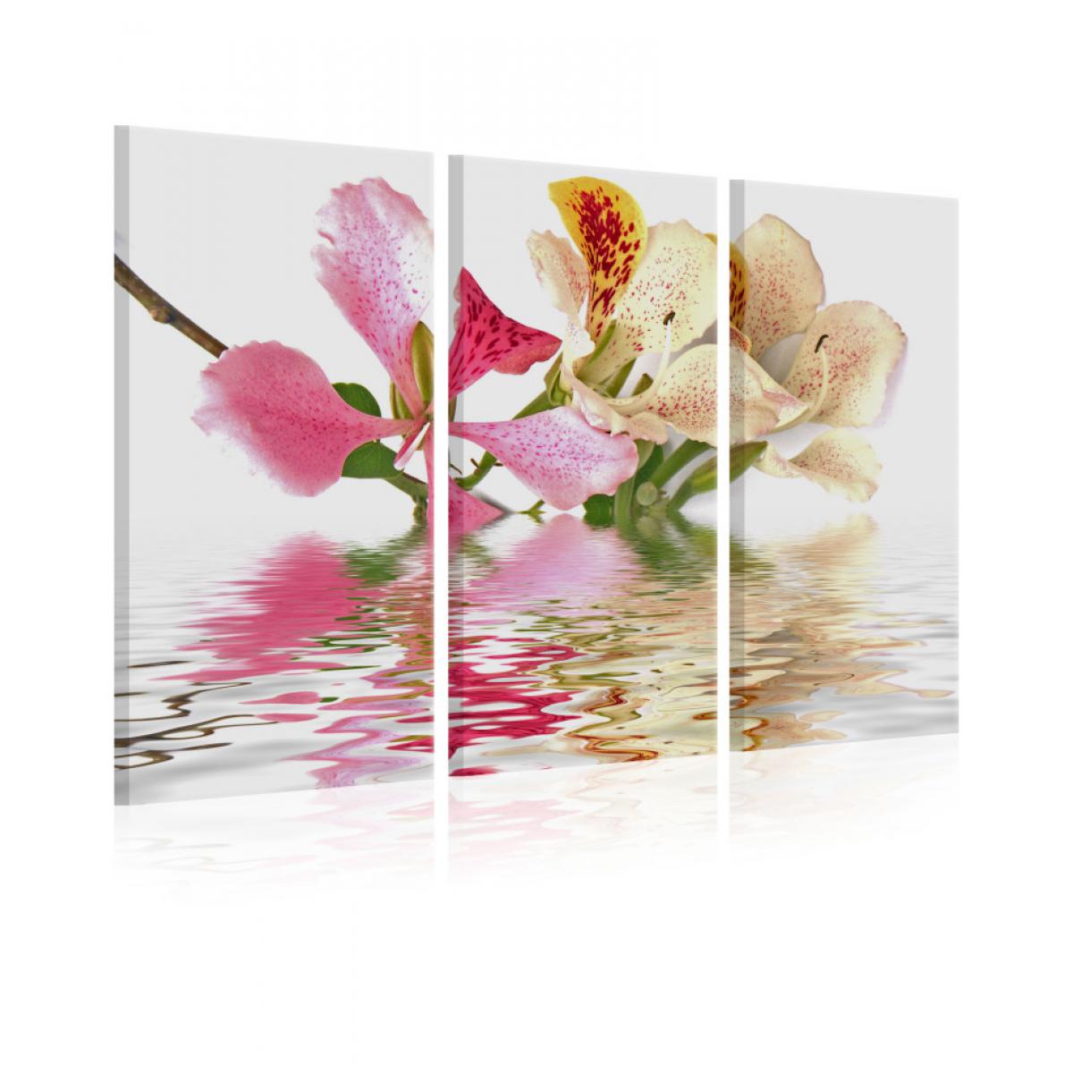 Artgeist Tableau - Orchid with colorful spots 60x40