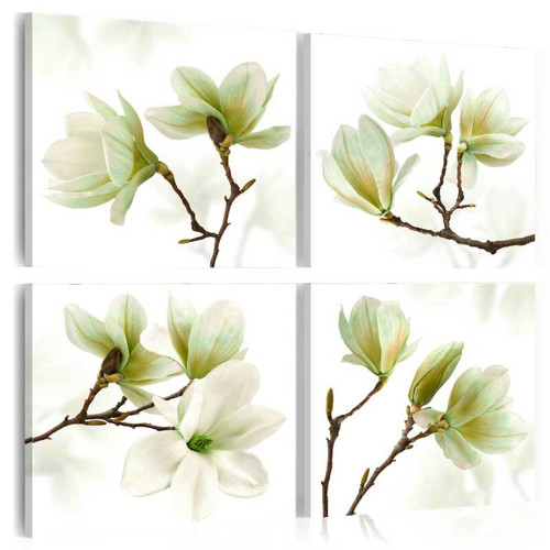 Artgeist - Tableau - Admiration of Magnolia [80x80] Artgeist  - Tableaux, peintures