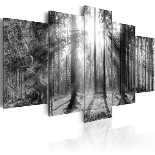 Artgeist - Tableau - Forest of Memories [100x50] Artgeist  - Artgeist