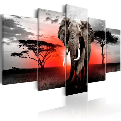 Artgeist - Tableau - Lonely Elephant [100x50] Artgeist  - Artgeist
