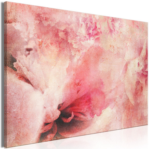 Tableaux, peintures Artgeist Tableau - Pink Etude (1 Part) Wide [60x40]