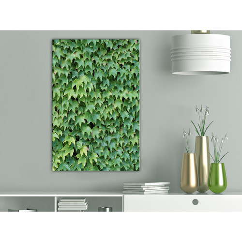 Artgeist - Tableau - Thick Ivy (1 Part) Vertical [20x30] Artgeist  - Tableaux, peintures