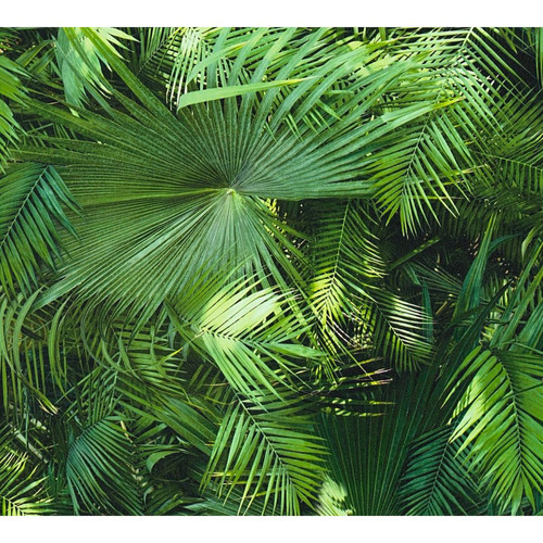As Creation - A.S. Création papier peint feuilles tropicales vert As Creation  - Papier peint