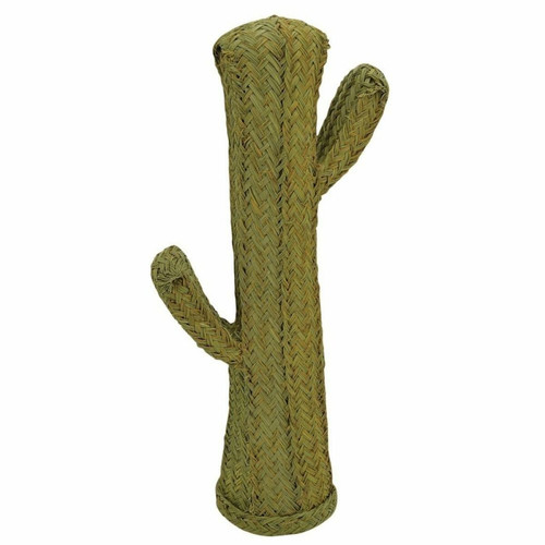 Aubry Gaspard - Cactus en alpha Hauteur 85 cm. Aubry Gaspard  - Décoration