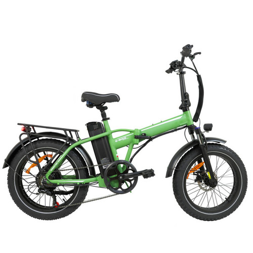 BAOLUJIE - vélo électrique pliable BAOLUJIE DZ-2031 750W 48V 13AH 40KM/H-Vert BAOLUJIE - Vélo électrique