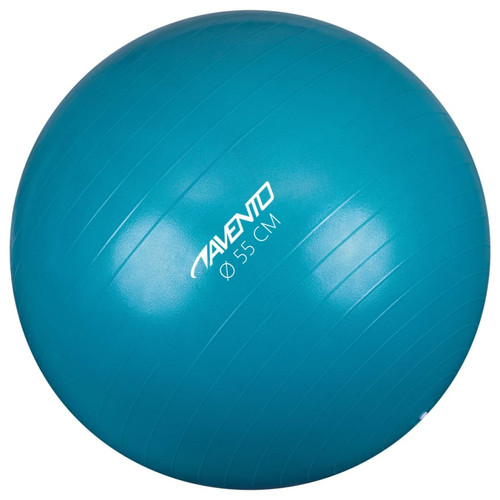 Avento - Avento Ballon de fitness/d'exercice Diamètre 55 cm Bleu - Jeux de balles