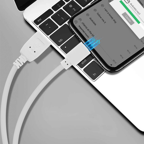 Avizar Câble USB vers iPhone iPad iPod Charge & Synchro Quick Charge 2.0 1,2m - Blanc