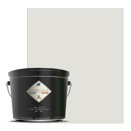Barbouille - Peinture lessivable acrylique mat – murs et plafonds Barbouille  - Peinture mur blanc